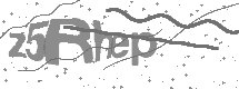 visual captcha